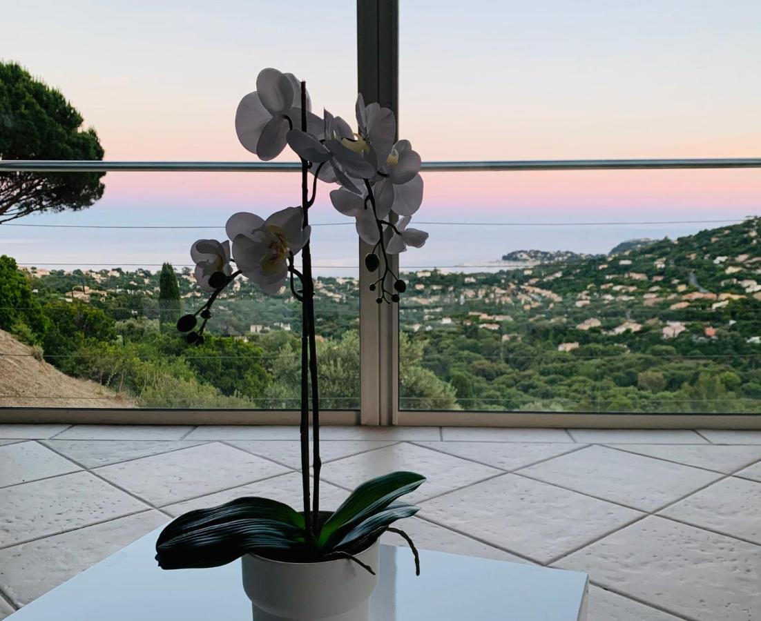 Maison Avec Vue Panoramique Cavalaire-sur-Mer Ngoại thất bức ảnh